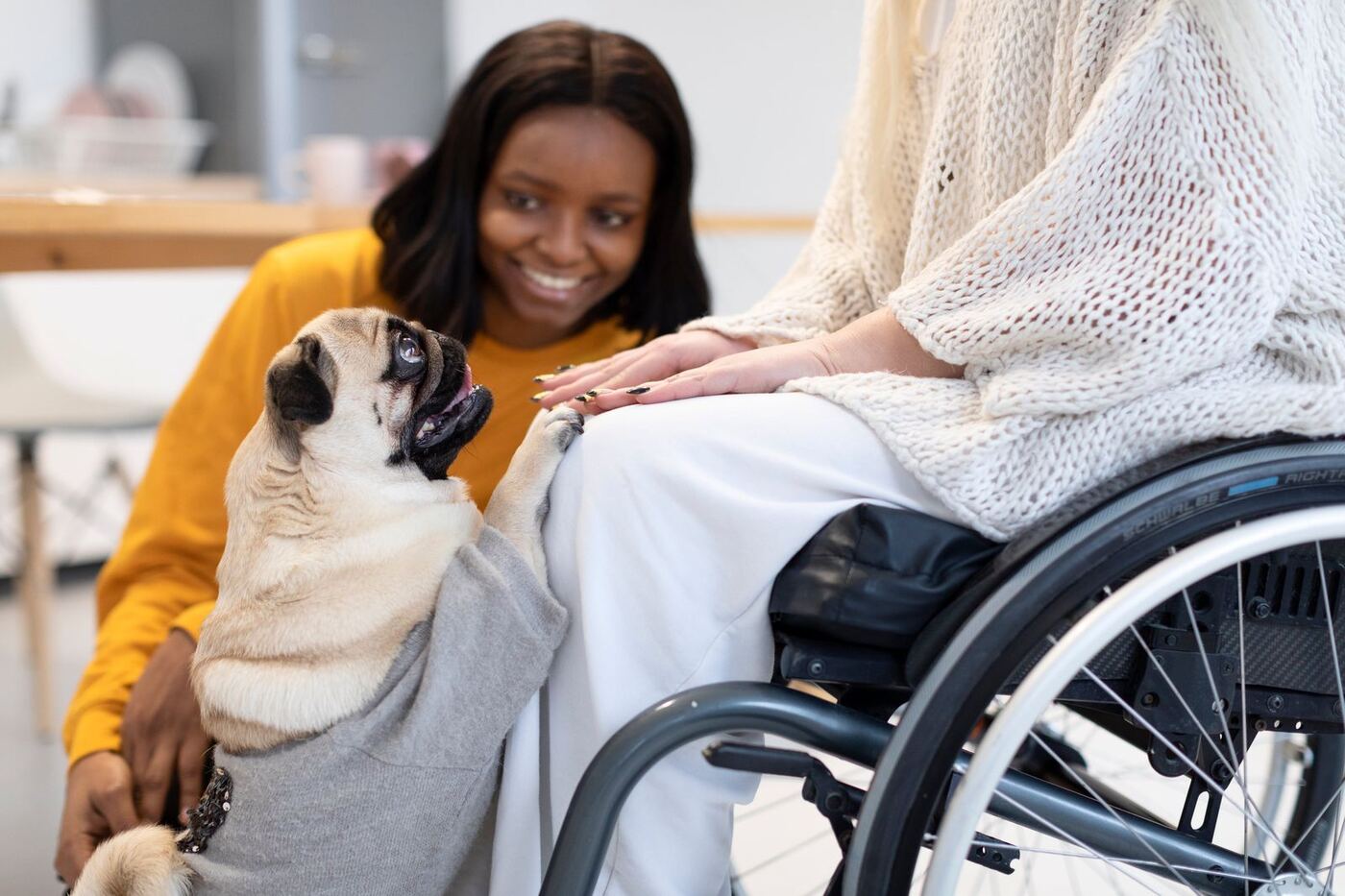 Assistive companionship and technology for independence