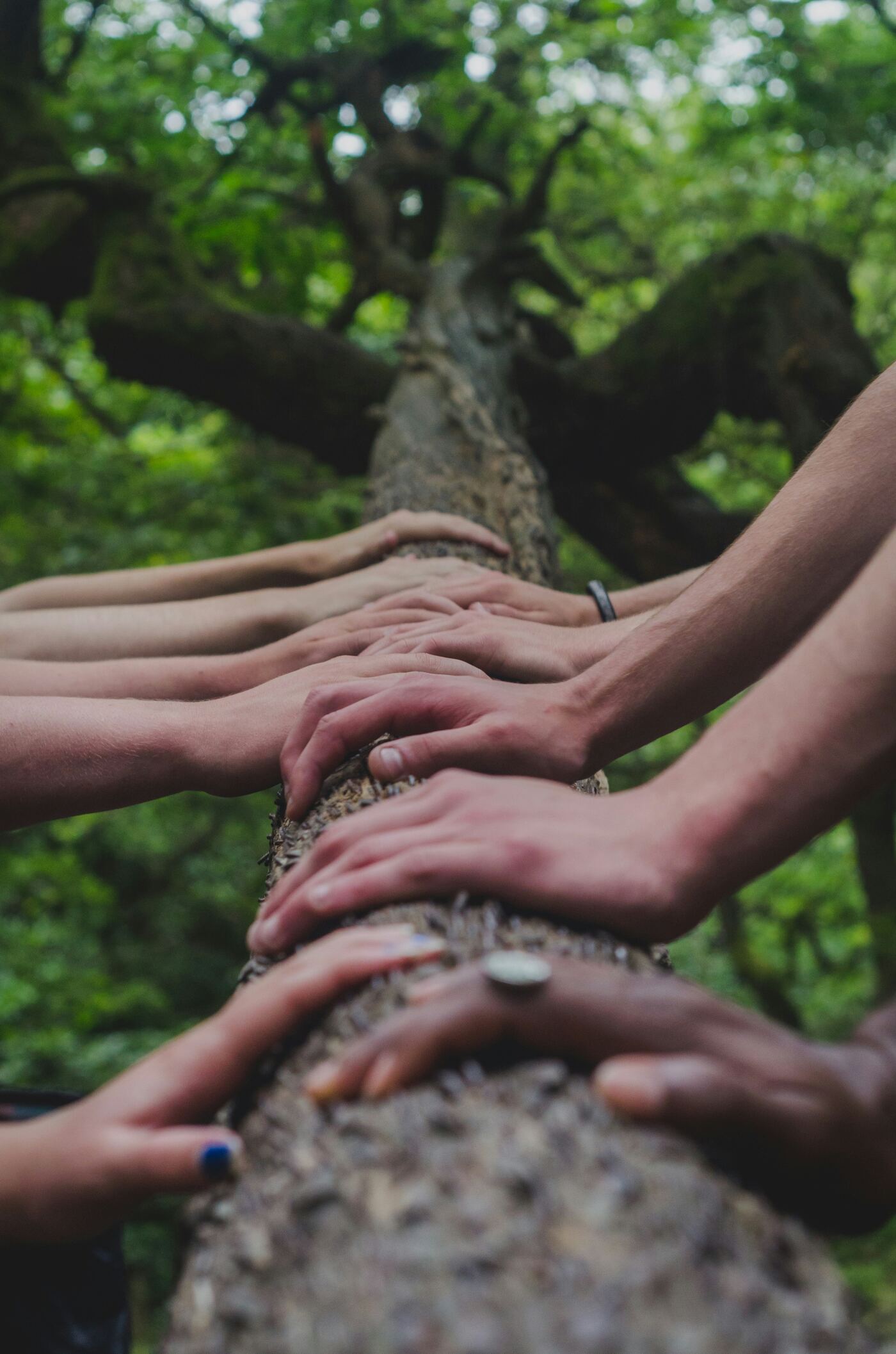 Hands joined together in unity
